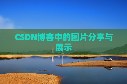 CSDN博客中的图片分享与展示